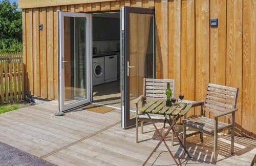 Bueno - Ukc4682 - Foto 3