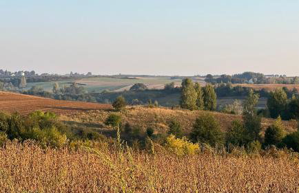 W Kręgu Natury - Foto 59