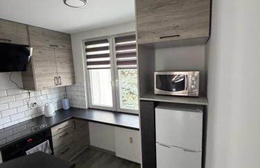 Apartament Zdrojowy - Foto 3