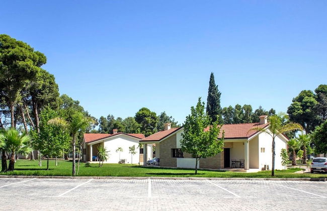 Diamant Vert - Photo 56