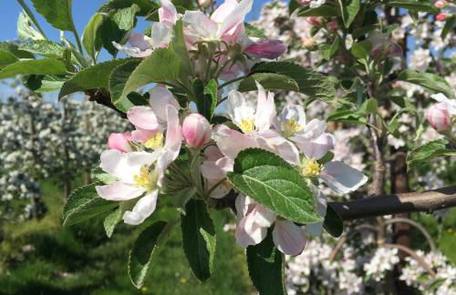 Fewo Lüheblick im Haus Lühegarten - Photo 23