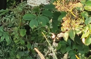 Serviced Apartment - Aberdeen - Foto 21