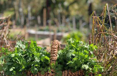 Gaia Home Retreat - Foto 41