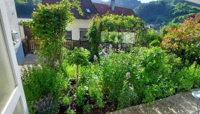 Ferienhaus am Rosengärtle - Black Forest - Forêt Noire - Foto 4, Garden