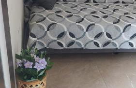 Il Calice dell'Etna - Foto 48