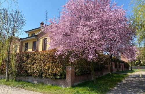 SUITE TRAVEL HOME - Foto 12