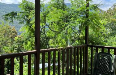 La Casetta Nel Bosco - Foto 7