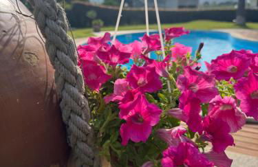 Green paradise with Etna view - Foto 55