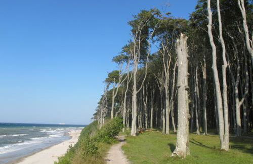 Ferienwohnung Zum Kliff - Foto 25