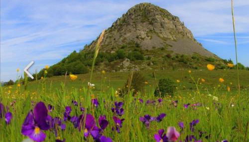 La Vallée De La Loire - Foto 3