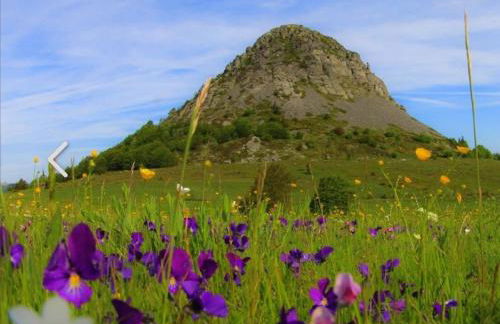 La Vallée De La Loire - Foto 3