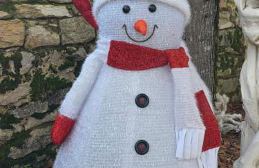 Belle Quercynoise piscine jacuzzi partagés - Foto 72