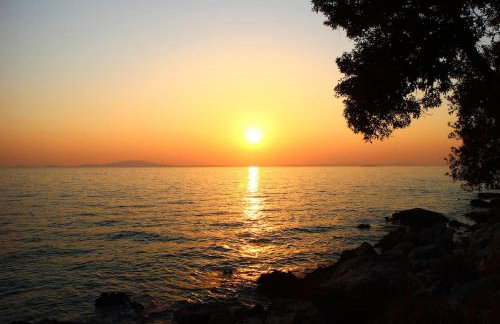 Apartmani Vesna - Foto 9