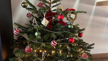 Apartement La Cuverie - Foto 3