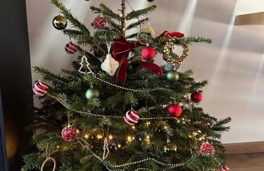 Apartement La Cuverie - Foto 3