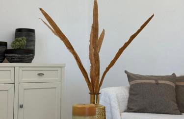 white house apollon naxos - Foto 35