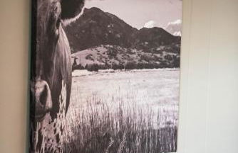 Mount Tabor Ranch near VT - King Bed/Fast Wi-Fi - Foto 57