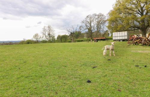 The Long Barn - Foto 46