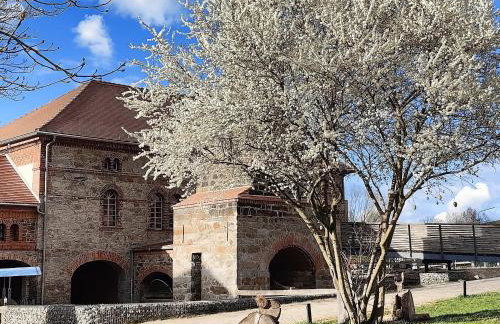 TinyHousebeiDresden in absoluter Alleinlage direkt am Naturteich große Terrasse Grill und Kaminofen Juni - September Mindestmietzeit 1 Woche Sa- Sa - Foto 23