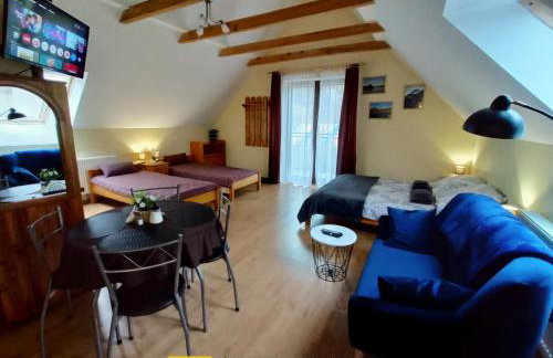 Hortensjowy Zakątek w Pieninach - Foto 9