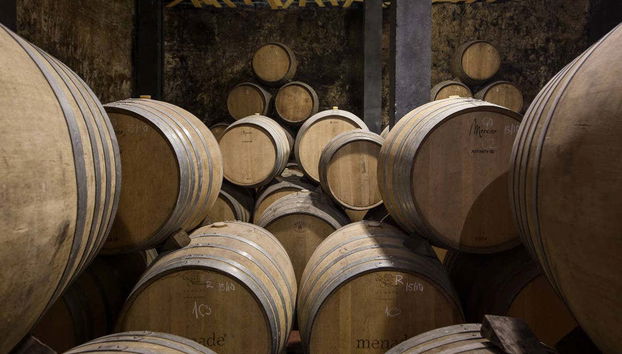 Barris de vinhos na adega