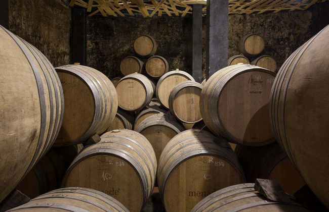 Visite du vignoble Menade - Photo 3