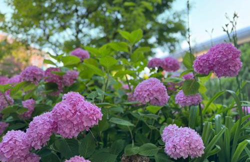 Krozinger Gartenloft - Design Apartment - Foto 3