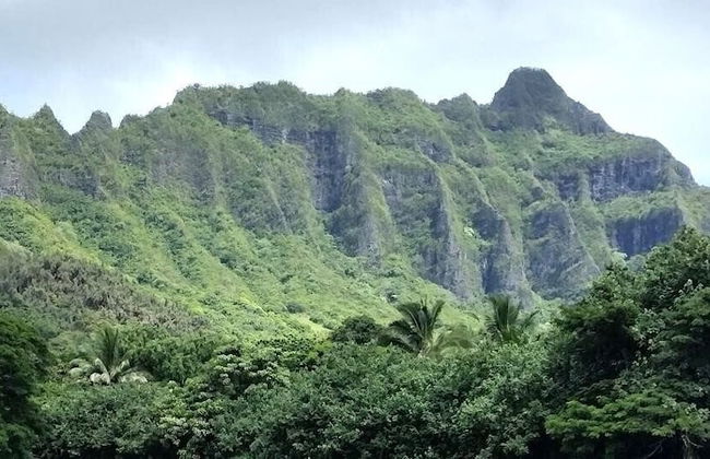 Royal Kuhio - Foto 27