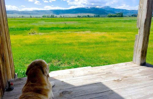 Romantic Cabin Getaway Along the Madison River in Ennis, Montana - Foto 8