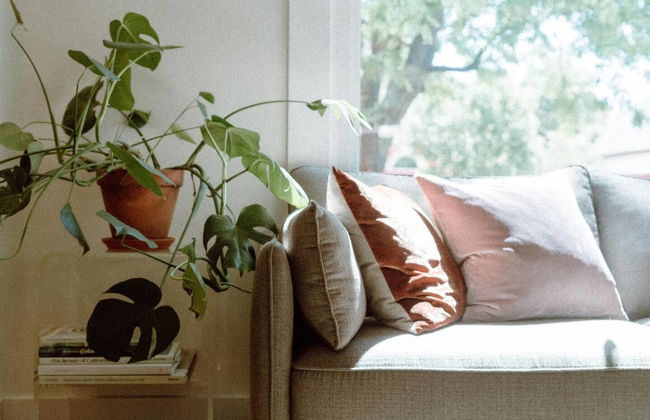 The Enchanted Franklin - Foto 7