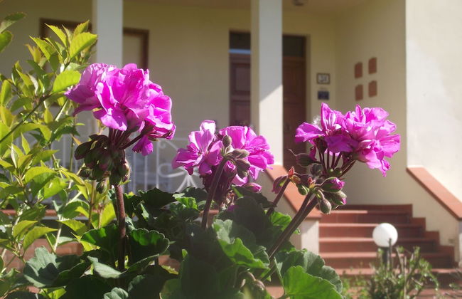 Villa Sabrina - Photo 1