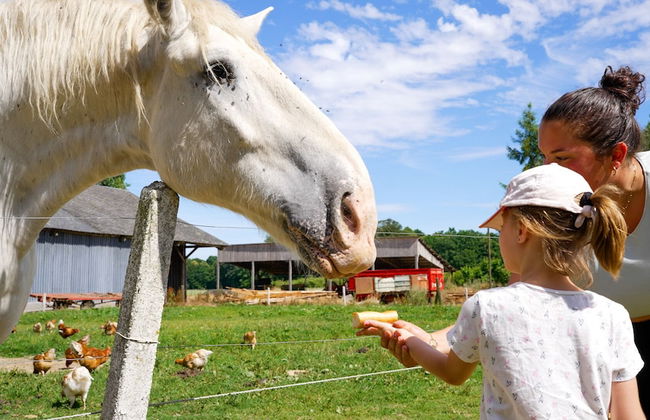 VVF Normandie Veules-les-Roses - Foto 73