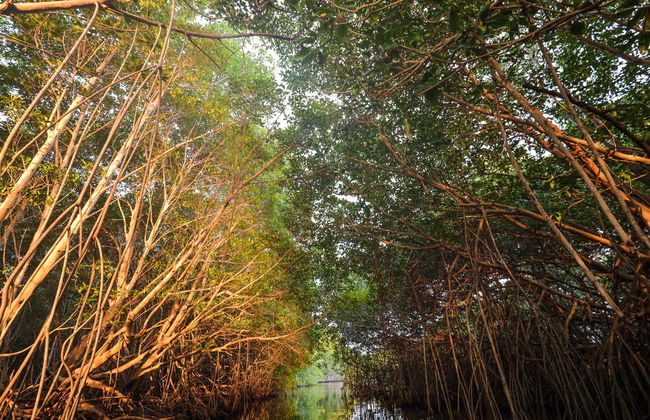 Escursione alle Lagune di Chacahua - Foto 3