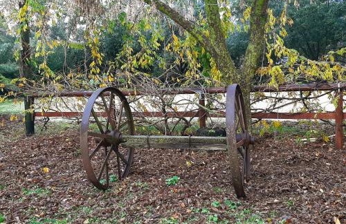 Agriturismo Podere Bedin - Foto 30