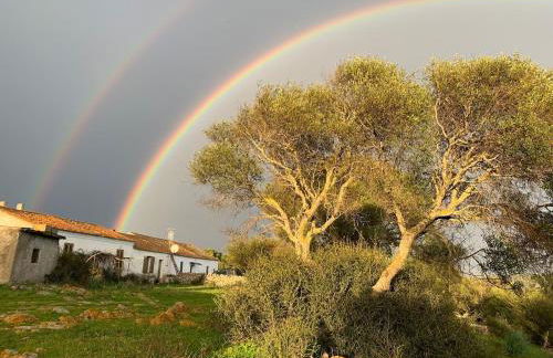 Stazzu Pittorra - Foto 25