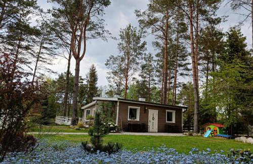 Sosnowy Azyl - Foto 76