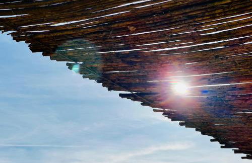 Cabanas de Melides - Foto 57