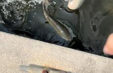 Five Palms - Foto 78