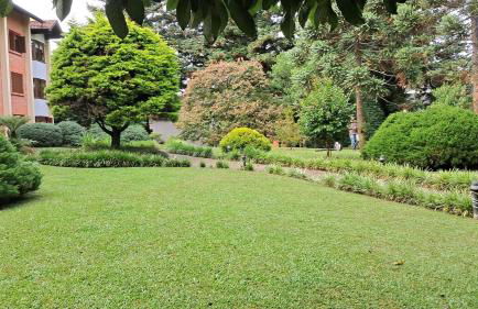 Monte Bianco - Foto 19