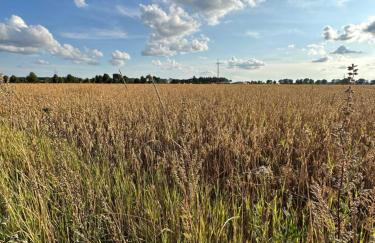 Drift Away - Foto 45