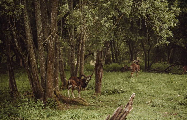 Apartment in Gronowo Near Lake Siecino - Photo 14