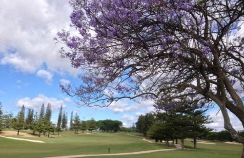 Matchroom Perla Roja 2 - Photo 34