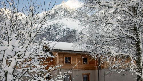 Grand chalet Le Trappeur - Chamonix - Photo 2