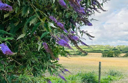 Harpers Huts - Zara - Foto 18