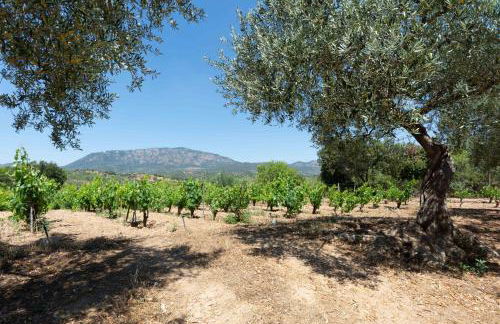 Villa L'Oliveto - Foto 20