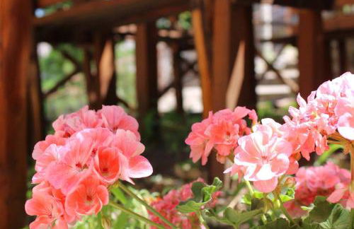 Florence House - Foto 35