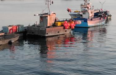 L ancre marine - Foto 8