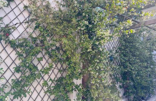 CasaSignorina - Foto 49