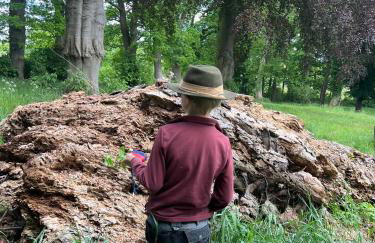 Glasauer Kutscherhaus - Foto 42