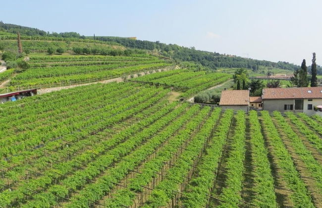 Agriturismo Corteforte - Foto 25